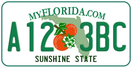 Standard Design of Florida License Plate