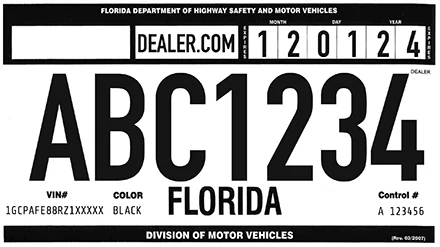 Temporary Florida License Plate